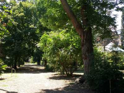 Panoramica del giardino